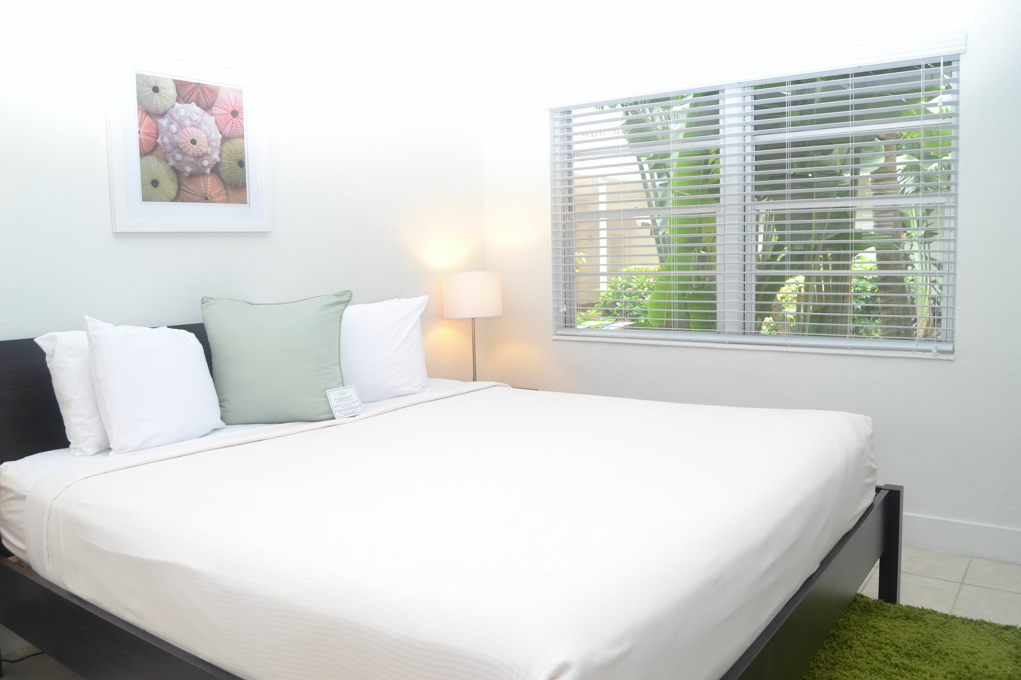 Solas A North Beach Village Resort Hotel Fort Lauderdale Eksteriør bilde
